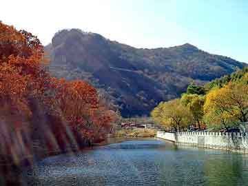 大三巴一肖二码最准，北京鸡